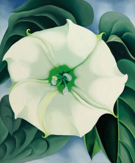 White Flower No 1