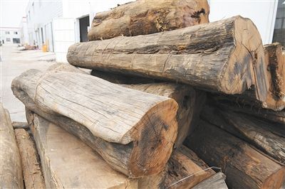 红木木材如何验收目前还没有定论。 新京报记者 王远征 摄
