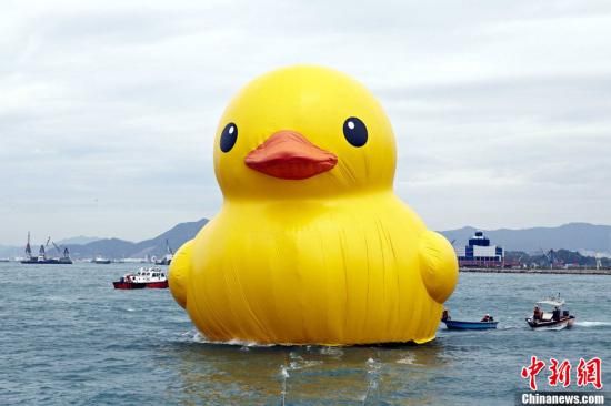 5月2日，在全城的翘首期待中，巨型黄色橡皮鸭“Rubber Duck”晃着它六层楼高的圆滚身子，一摇一摆地“游”到了香港维多利亚港。中新社发 谭达明 摄  