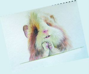这不是PS,是彩铅画!