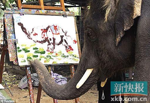 泰国大象 画出“大象”