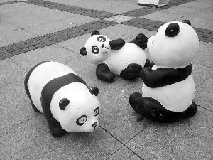 “大熊猫”们憨态十足，有的站着，有的躺着，有的趴在地上……