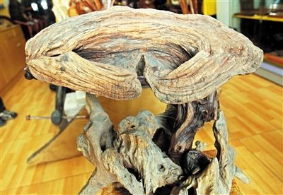 陈国平收藏的天然造型的灵芝状花梨木根雕