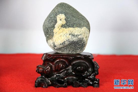 這是1月19日拍攝的顯示有“羊”圖案的泰山石。新華社發（初寶瑞 攝）
