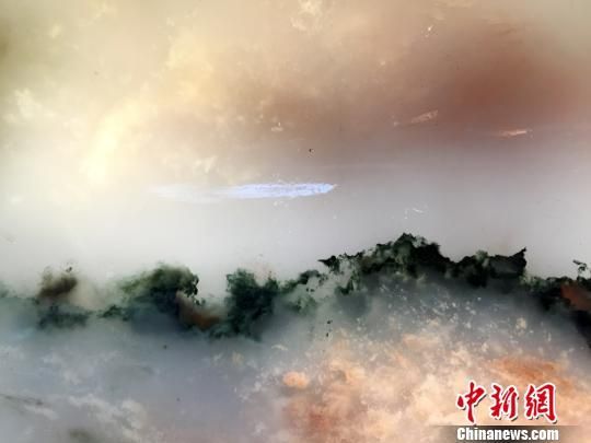 圖為七彩雞血玉局部如一幅山頂雲海日出圖。楊陳 攝