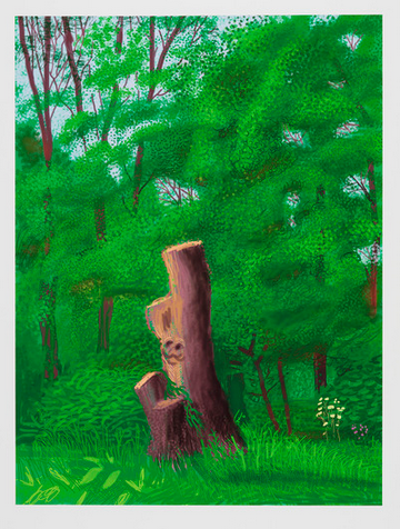 沃尔德盖特的春天，iPad作画，2011