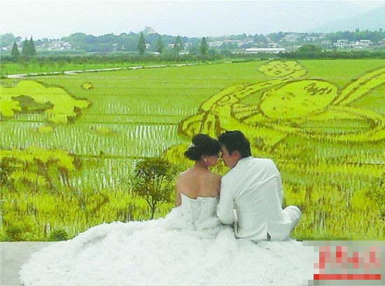 成型不久的梅田湖村稻田艺术，吸引了新人前来拍摄结婚照。通讯员涂传秀摄