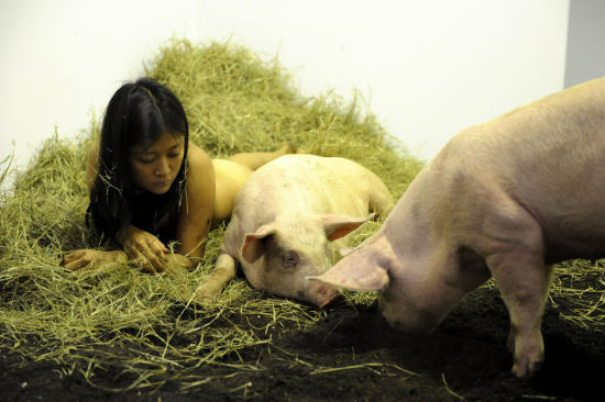 行为艺术家Miru Kim和猪一起生活