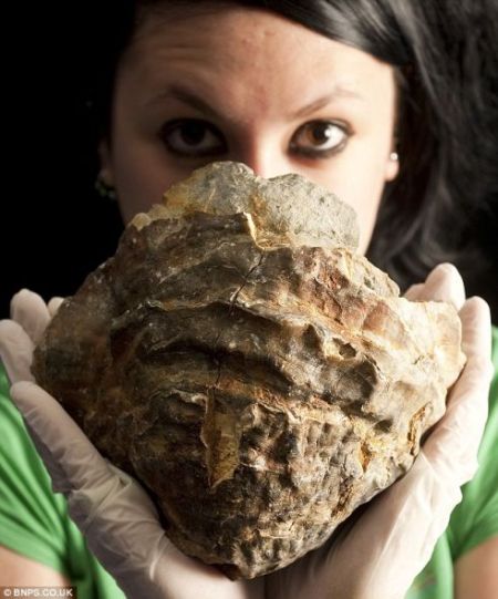 内部含有珍珠之母？蓝礁水族馆管理员珍娜-麦克法兰捧起这个可能含有世界最大珍珠的巨大牡蛎。