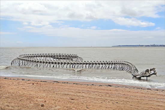 法国卢瓦尔河入海口的海蛇骨架装置