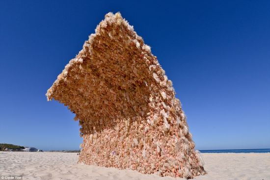 澳大利亚艺术家用3000多个芭比娃娃打造巨型海浪