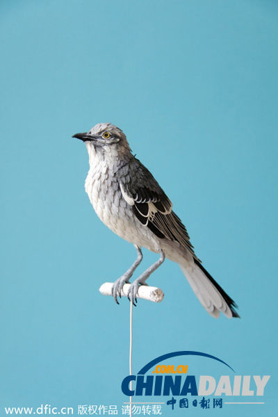 赫雷拉的纸质鸟类雕塑。（图片来源：东方IC）3