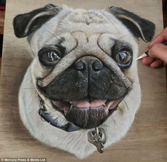 狗狗跳出 咖啡倾洒：艺术家栩栩如生的彩铅素描