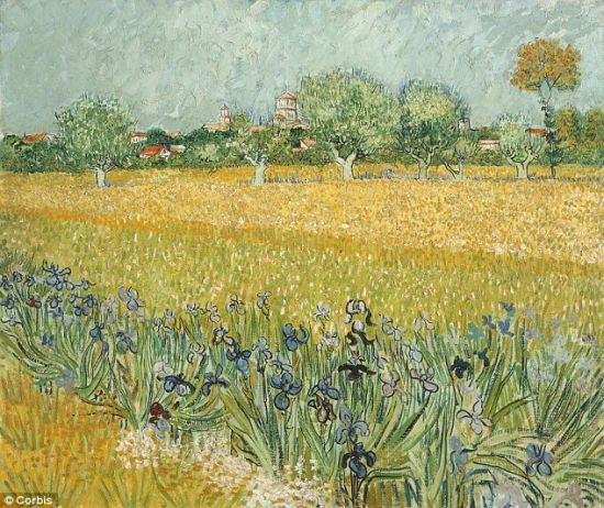 ƷβʢԭҰ(Field with irises near Arles)