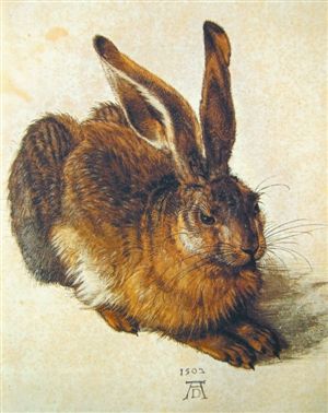 丢勒传世名画《野兔》。