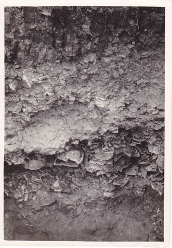 1973～1978年窯址堆積斷面狀況