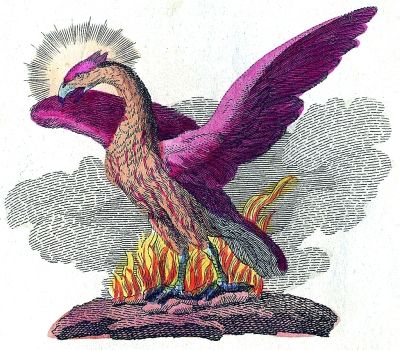 鳳凰(來自德國出版家FJBertuch（1747年–1822年）的神話讀本）
