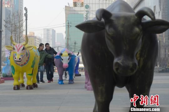 11月17日，被称为史上最“牛”公共艺术的“奔牛艺术展”亮相山西太原街头，50余只色彩斑斓、形态各异的“奔牛”雕塑由当地多名艺术家参与创作。韦亮　摄