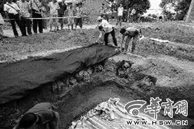 去年6月，考古人員發掘石鼓山西周墓本報資料照片記者趙航攝
