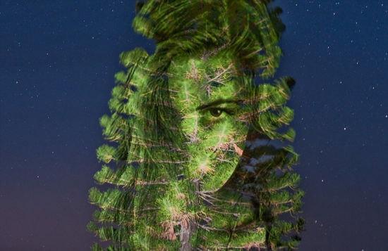 澳摄影师树木上投射名人肖像拍个性照2