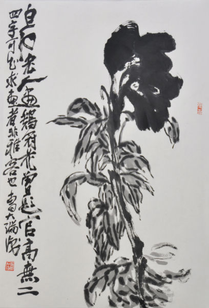 鸡冠花--纸本墨笔--70×47cm--2015年 曹大瑞