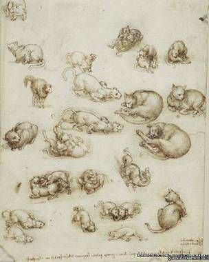 达芬奇作品：猫、狮子、龙，1513-18。
